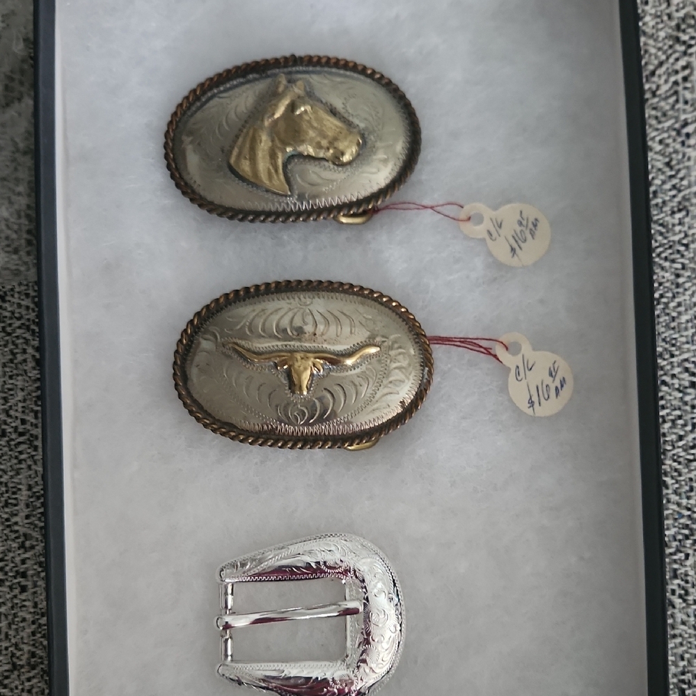 Western Oval Horse & Longhorn Buckles Set - Silver & Gold Tone